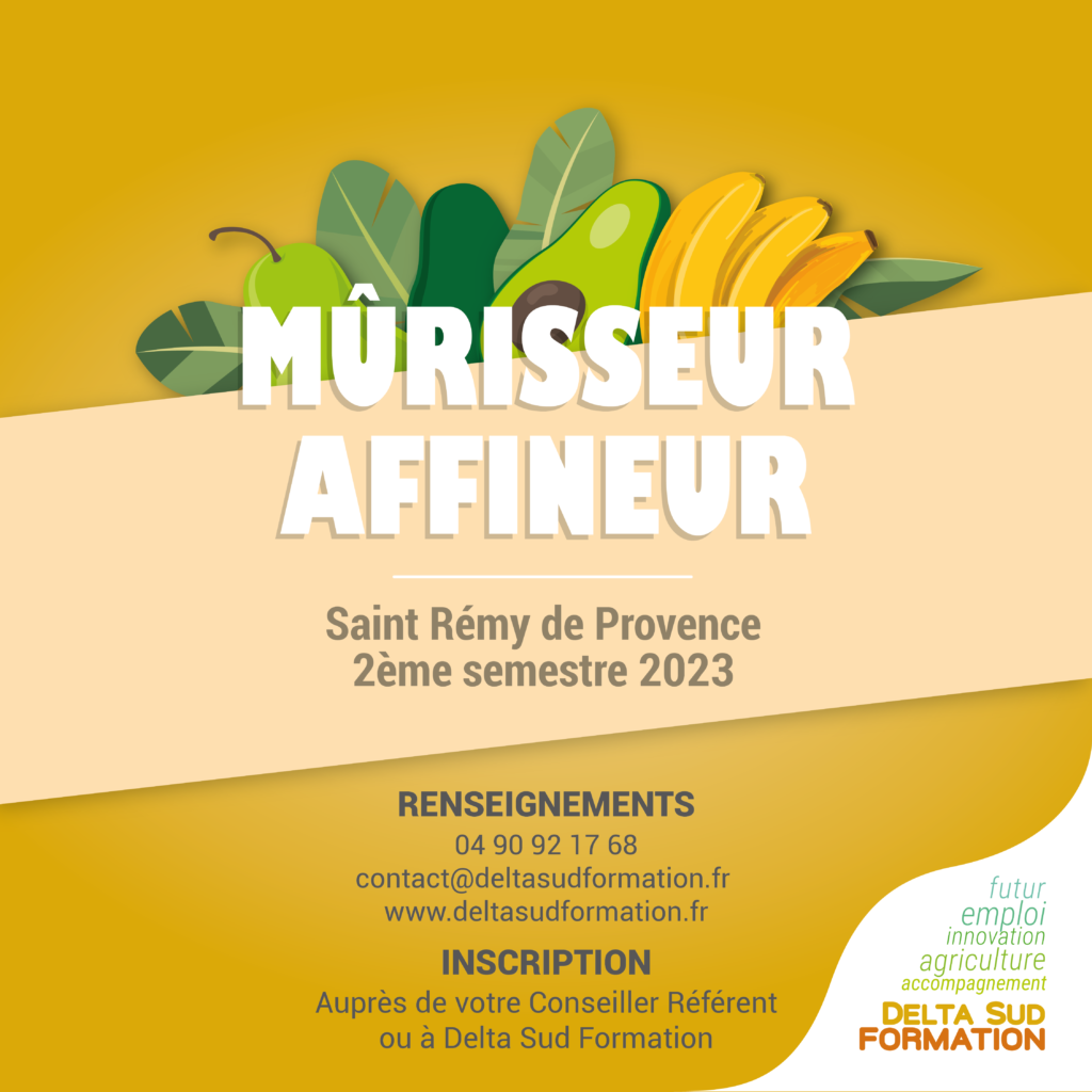 Visuel informatif qui annonce l'arrivé de la formation Mûrisseur - Affineur au 2ème semestre de l'année 2023.