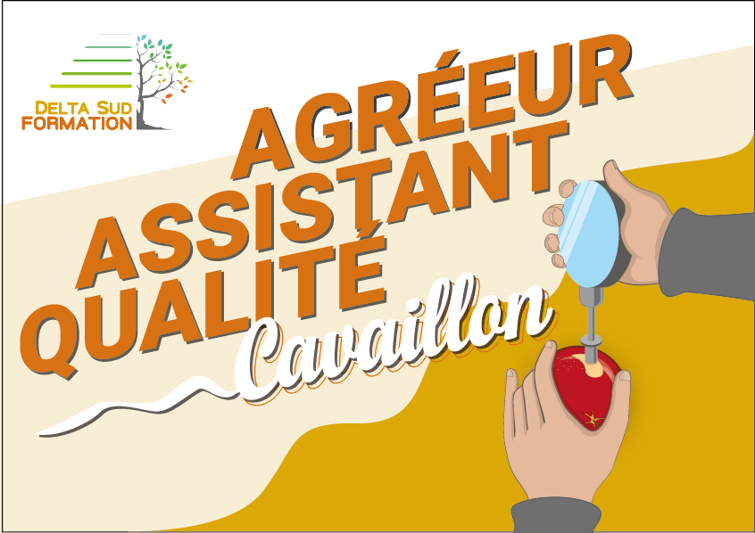 Agréeur / Assistant Qualité fruits et légumes à Cavaillon