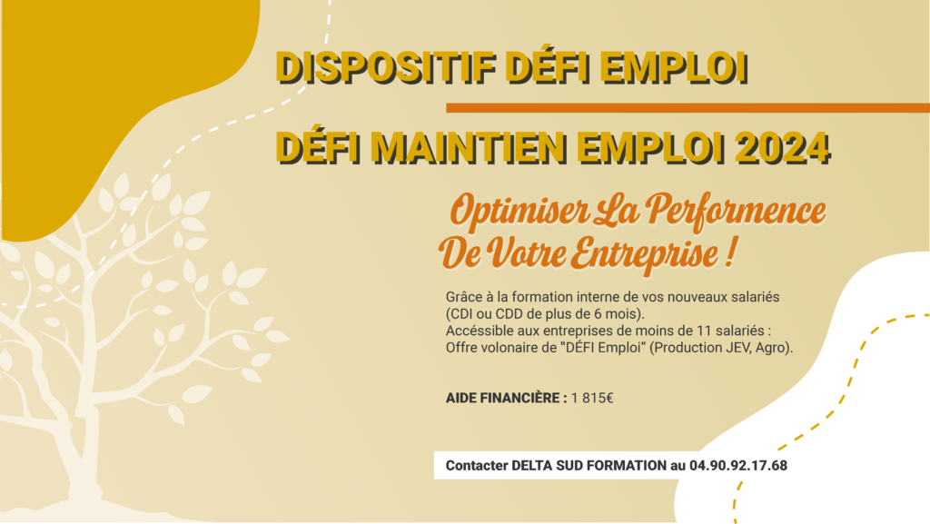 Visuel annonçant le dispositif DEFI Emploi 2024